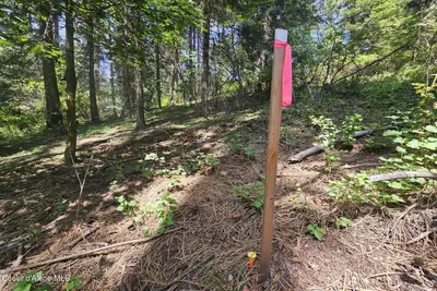 Property 26-468 - Photo 11