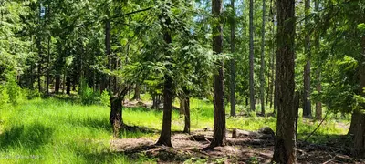 Property 25-5745 - Photo 9