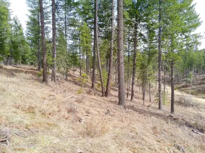 Property 26-2591 - Photo 16