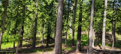 Property 25-5982 - Photo 14