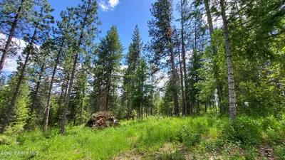Property 26-5725 - Photo 41