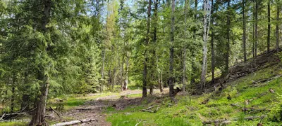 Property 26-5573 - Photo 9