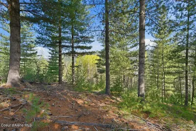 Property 26-4085 - Photo 4