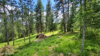 Property 26-5725 - Photo 40
