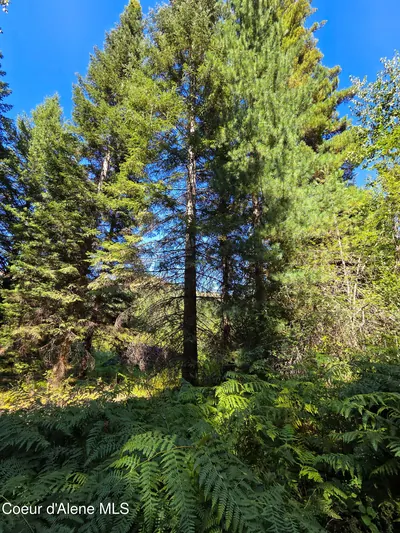 Property 26-2032 - Photo 17
