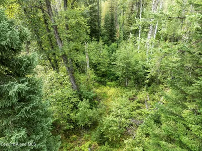 Property 25-8859 - Photo 6