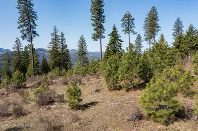 Property 26-9099 - Photo 42