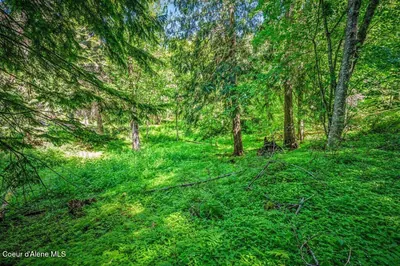 Property 26-8698 - Photo 13