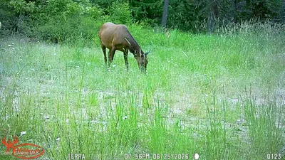 Property 26-7348 - Photo 21
