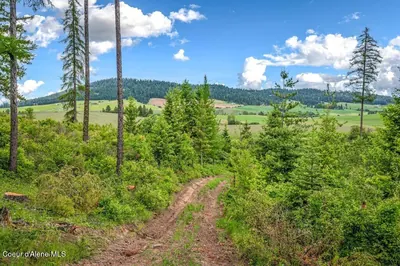 Property 26-6991 - Photo 6