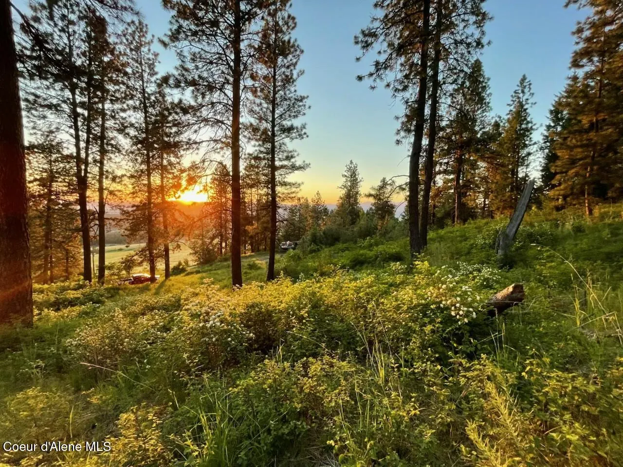 Property 26-5697 - Photo 1