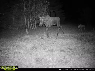 Property 26-3764 - Photo 17