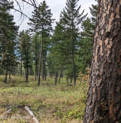 Property 26-2586 - Photo 13
