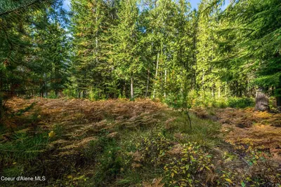 Property 26-10321 - Photo 7