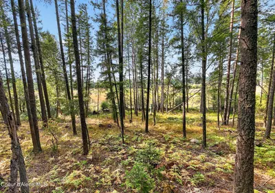 Property 26-8604 - Photo 9