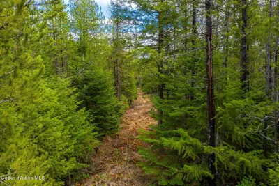Property 26-2110 - Photo 53