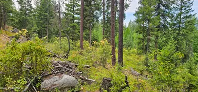 Property 26-7529 - Photo 21