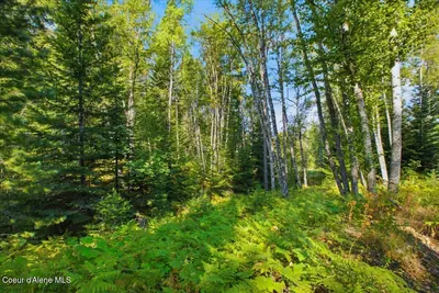 Property 26-8895 - Photo 38