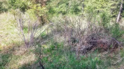 Property 26-6356 - Photo 17
