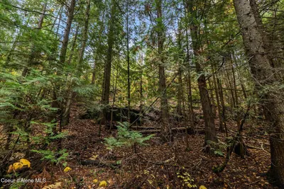 Property 25-10972 - Photo 17