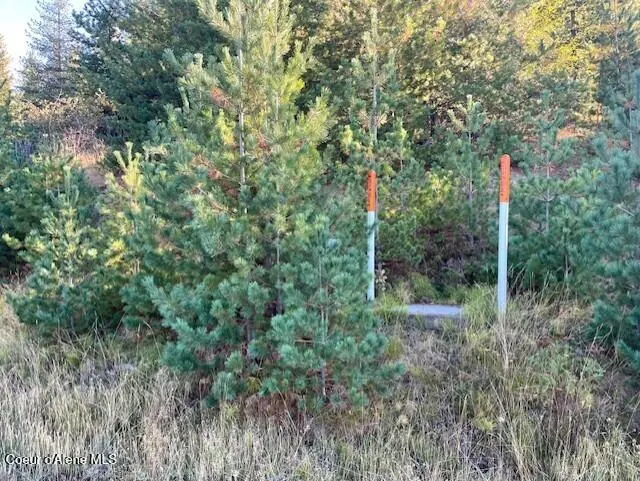Property 26-9991 - Photo 1