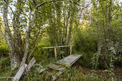 Property 26-9620 - Photo 10