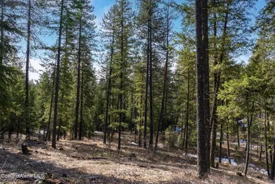 Property 25-10478 - Photo 18