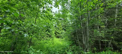 Property 26-5846 - Photo 6