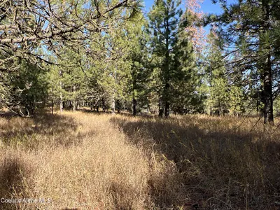 Property 25-10591 - Photo 13