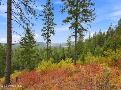 Property 26-8724 - Photo 32