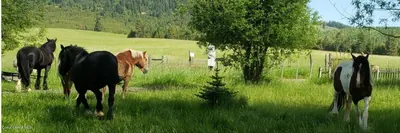 Property 25-10901 - Photo 32