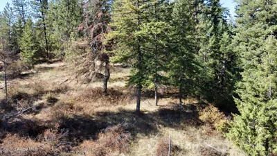 Property 26-9441 - Photo 13