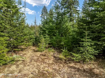 Property 26-6888 - Photo 12