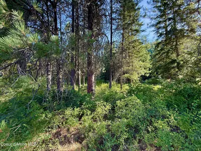 Property 26-4248 - Photo 30
