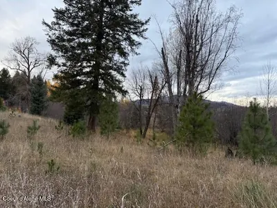 Property 25-11234 - Photo 16