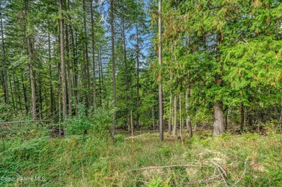Property 26-8613 - Photo 6