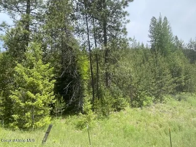Property 25-11499 - Photo 15