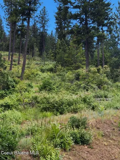 Property 26-6128 - Photo 10