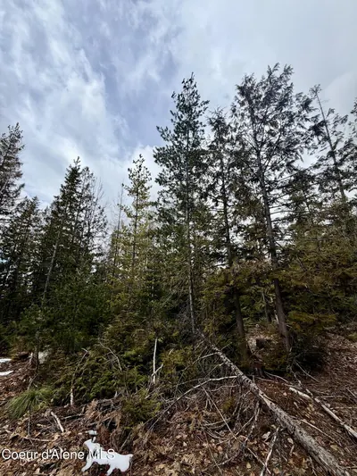 Property 26-2440 - Photo 25