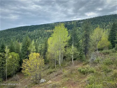 Property 26-6147 - Photo 19