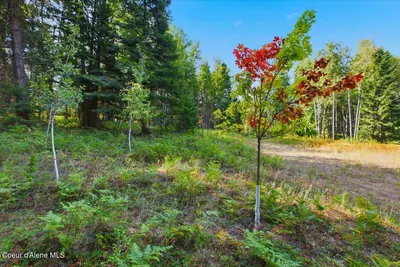 Property 26-8895 - Photo 37