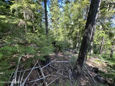Property 26-4197 - Photo 4