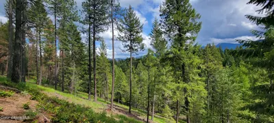 Property 26-701 - Photo 2