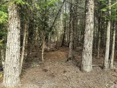 Property 26-3907 - Photo 5