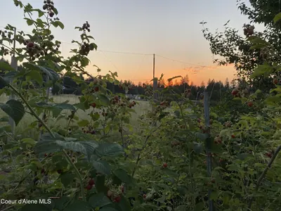 Property 26-9384 - Photo 72