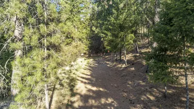 Property 26-10261 - Photo 3