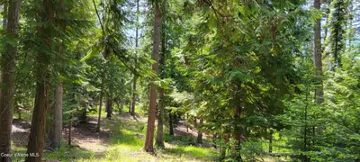 Property 25-5745 - Photo 12