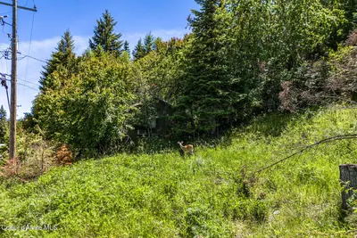 Property 26-8187 - Photo 38
