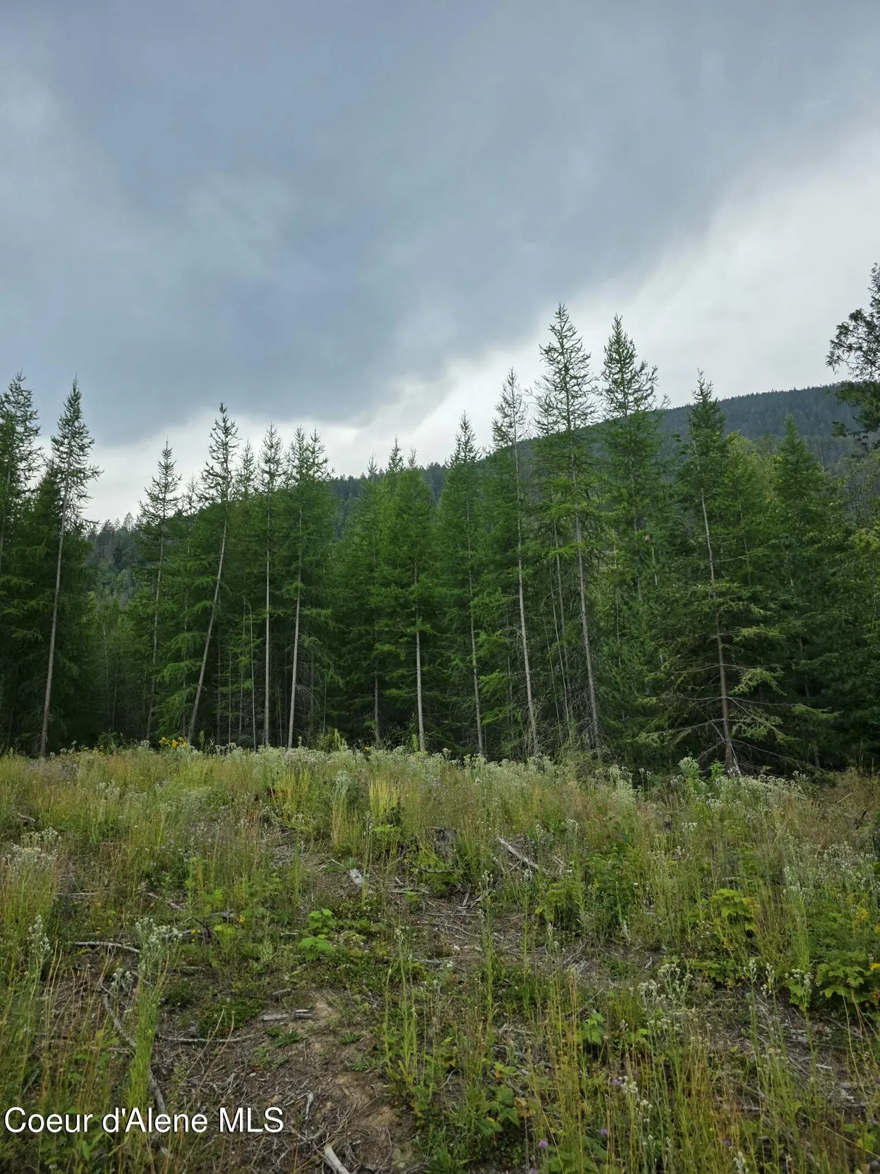Property 26-8086 - Photo 1