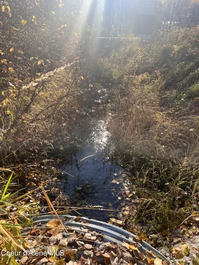 Property 25-10436 - Photo 16